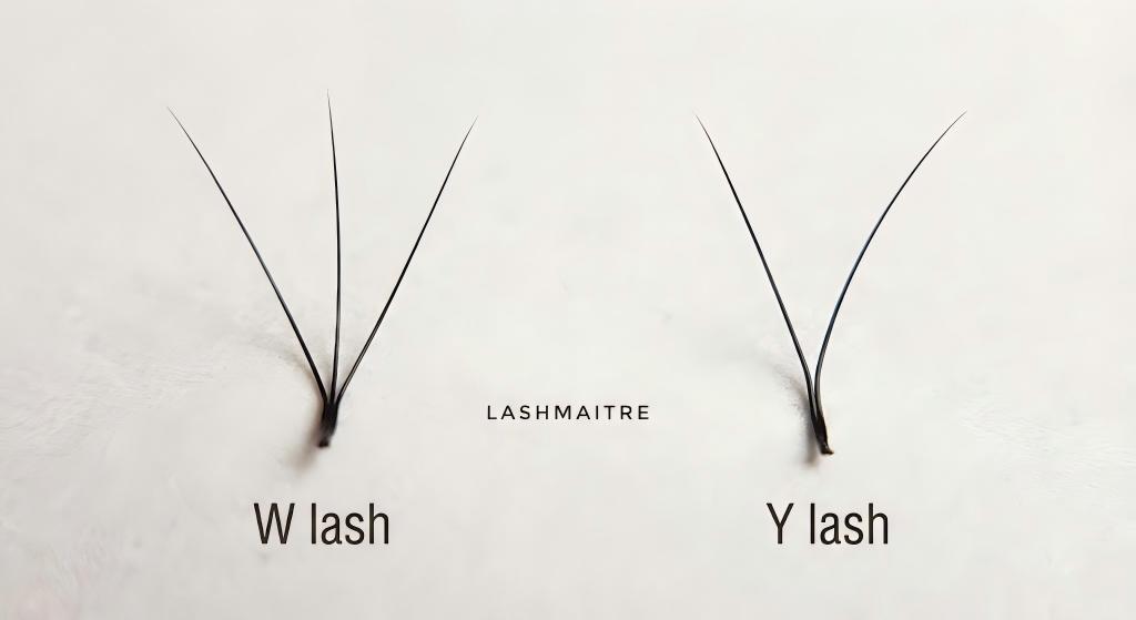 Macro close-up photograph showing the structural difference between a single 3D W-Lash vs Y-Lash extension, highlighting the three-tipped versus two-tipped design from a shared base.