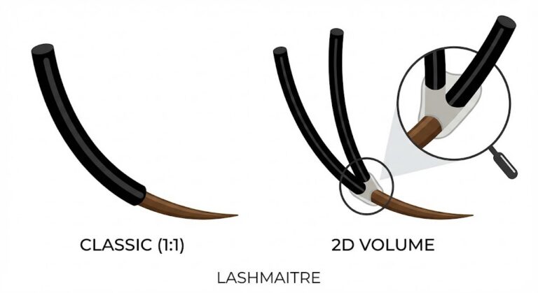 Vector graphic comparing a single Classic lash with a 2D eyelash extension double fan (V-shape) attached to a natural lash. LASHMAITRE educational diagram showing adhesive wrapping.