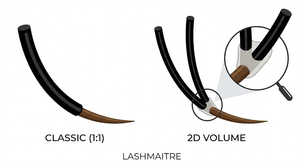 Vector graphic comparing a single Classic lash with a 2D eyelash extension double fan (V-shape) attached to a natural lash. LASHMAITRE educational diagram showing adhesive wrapping.