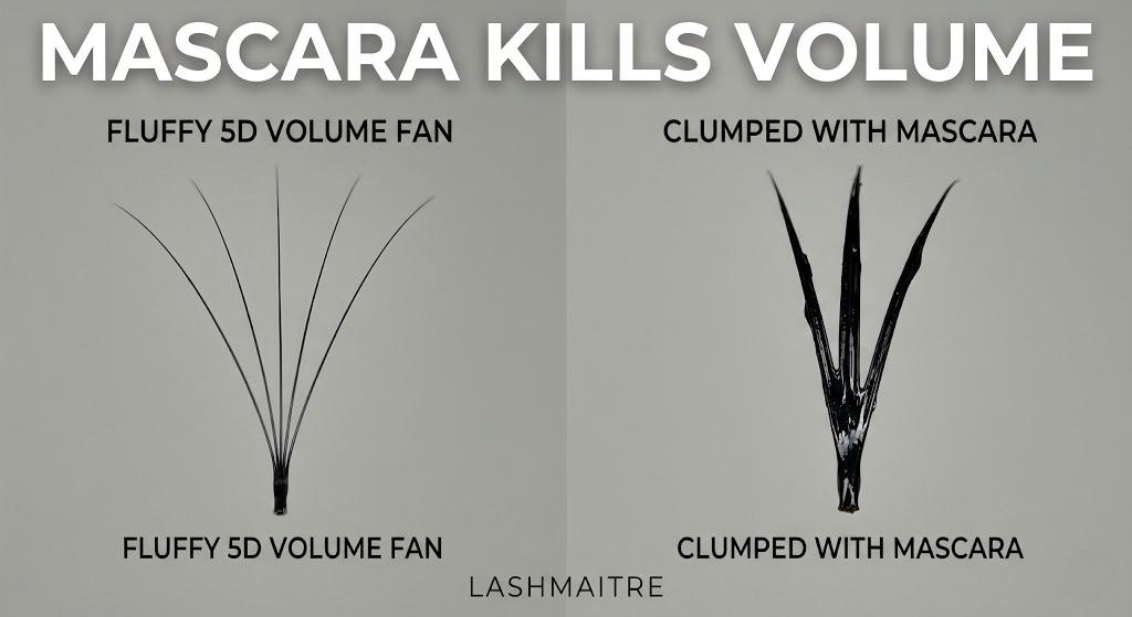 "Macro comparison by LASHMAITRE showing a fluffy volume fan versus a clumped, mascara-coated fan, visually answering 'can you put mascara on eyelash extensions' with a clear warning for volume sets."