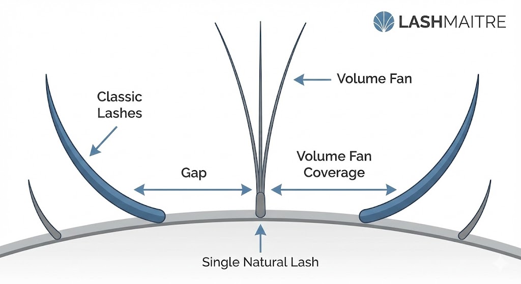A LASHMAITRE diagram illustrating how hybrid vs classic eyelash extensions solve sparse lash gaps. The image shows a multi-lash "Volume Fan" bridging the "Gap" between two single "Classic libral lash" and "Eyelash extension" attachments on natural lashes.