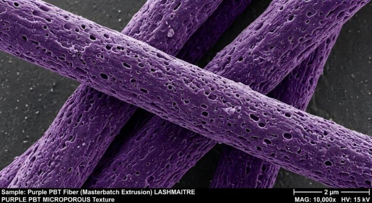 Microscopic surface porosity of premium OEM purple eyelash extensions manufactured via masterbatch extrusion
