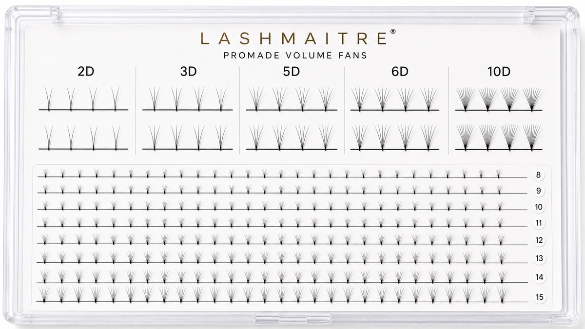 LASHMAITRE premade fan size comparison board showing 2D 3D 5D 6D and 10D fan structures with fine tapered roots